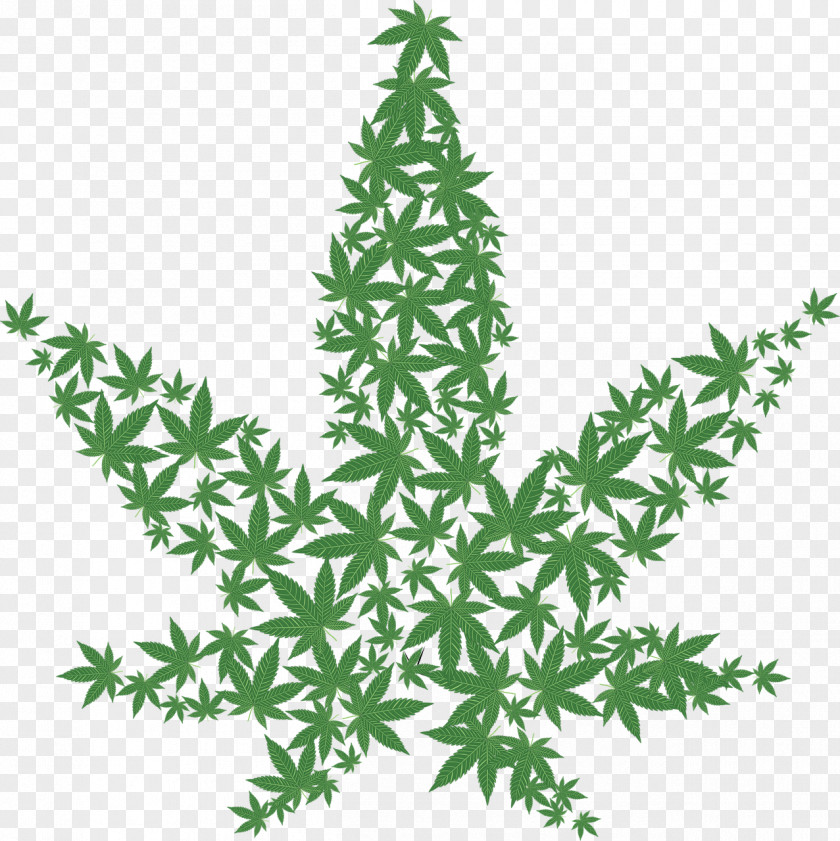 Cannabis Medical Legality Of Hemp Clip Art PNG