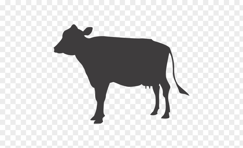 Cows Vector Cattle Animal Track PNG