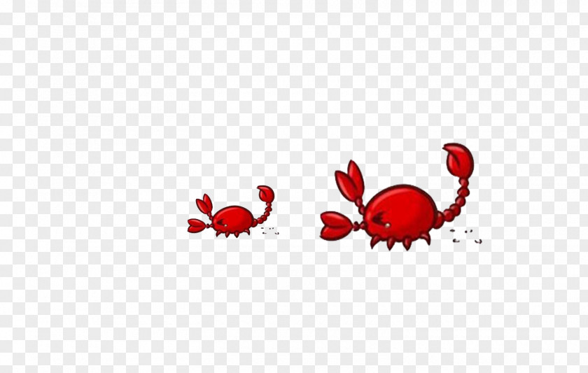 Crab Crabe Illustration PNG