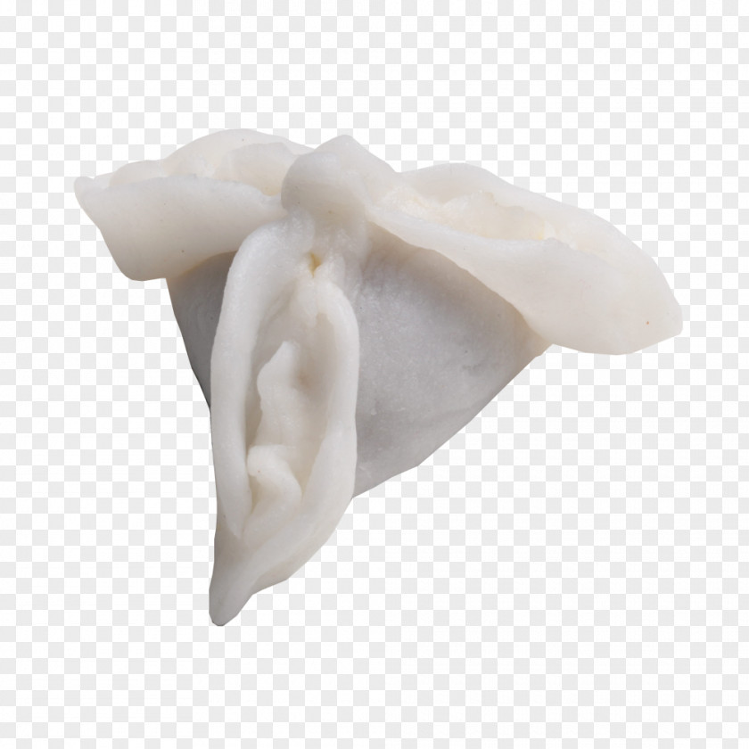 Dim Sum Jaw PNG