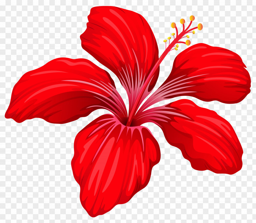 Hibiscus Flower Red Clip Art PNG