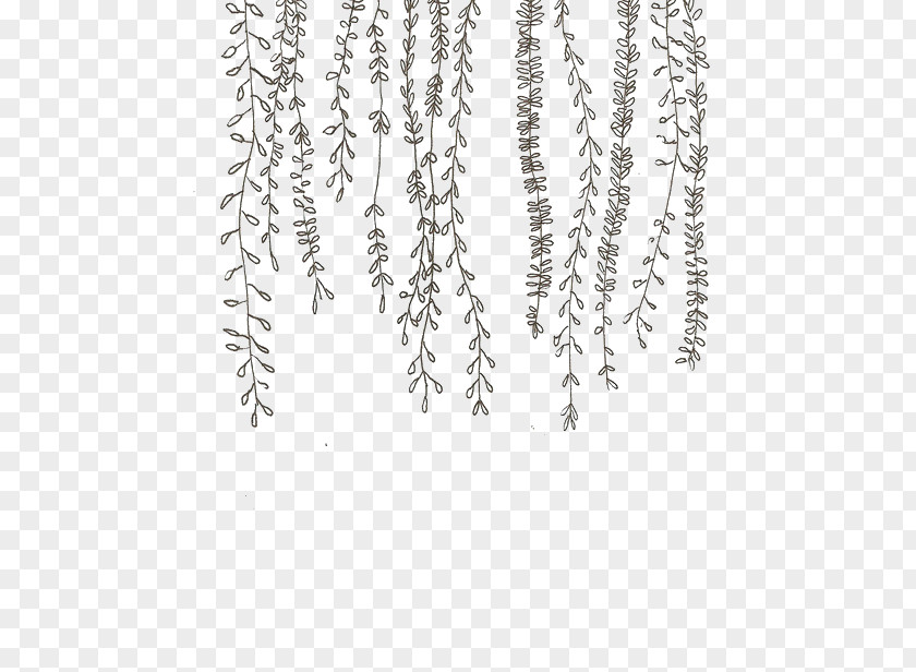 Plant Doodle Drawing Vine Clip Art PNG