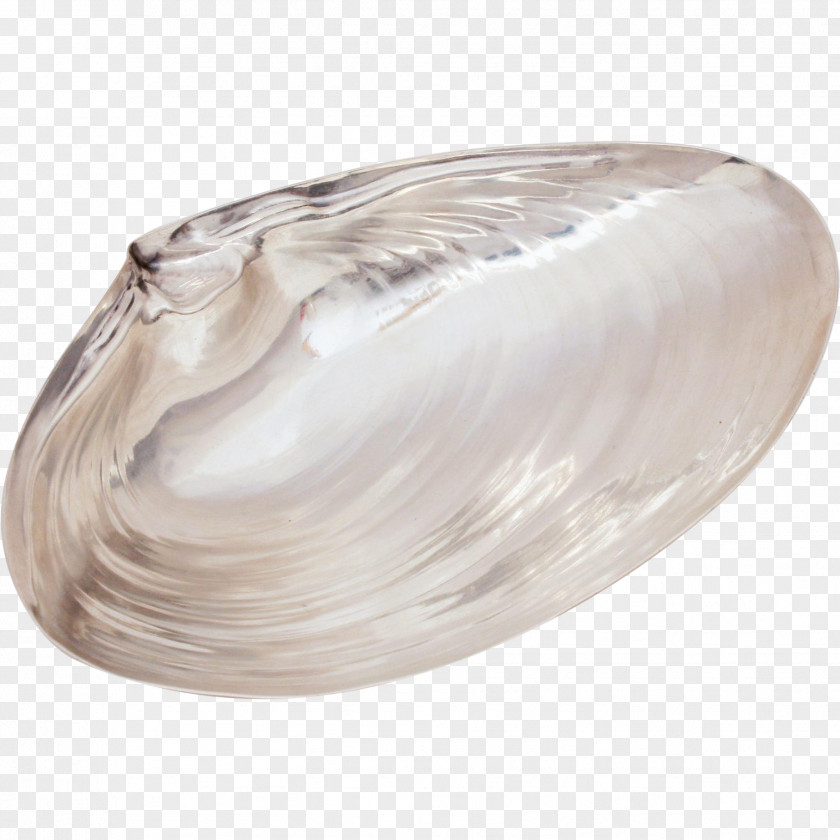 Seashell Clam Mussel Oyster Silver Scallop PNG