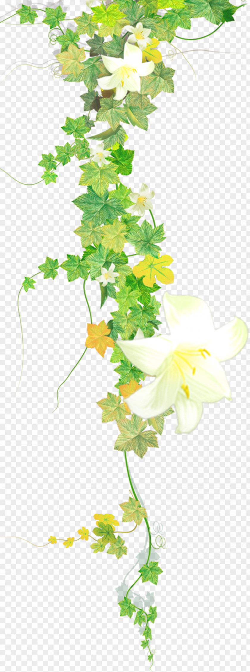 Twig Cut Flowers Watercolor Flower Background PNG