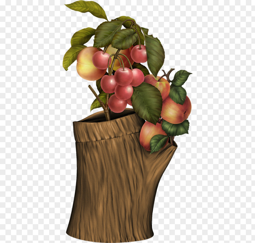Creative Grape Peach Fruit Berry PNG