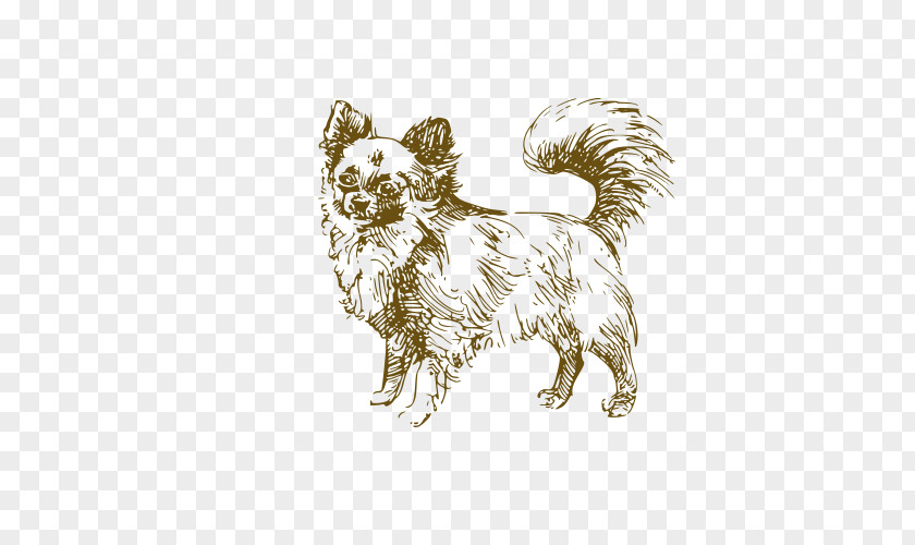 Dog Jack Russell Terrier Puppy Drawing Illustration PNG