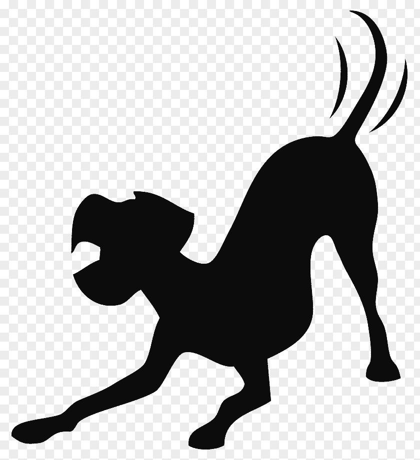 Dog Mustang Cat Pack Animal Mammal PNG