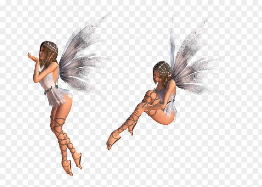 Fairy Clip Art Elf Information Security PNG