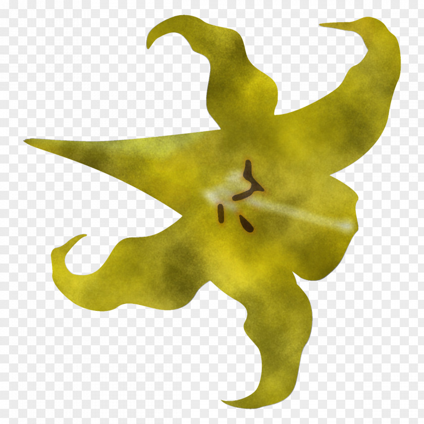 Lily Tree Yellow Plant Flower PNG