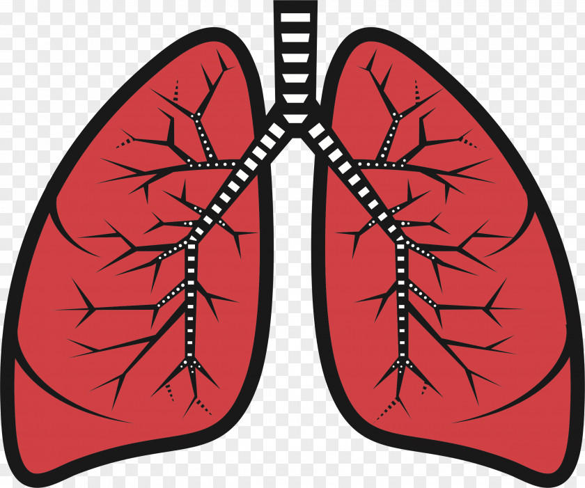 Lungs Surgery Lung Clip Art PNG