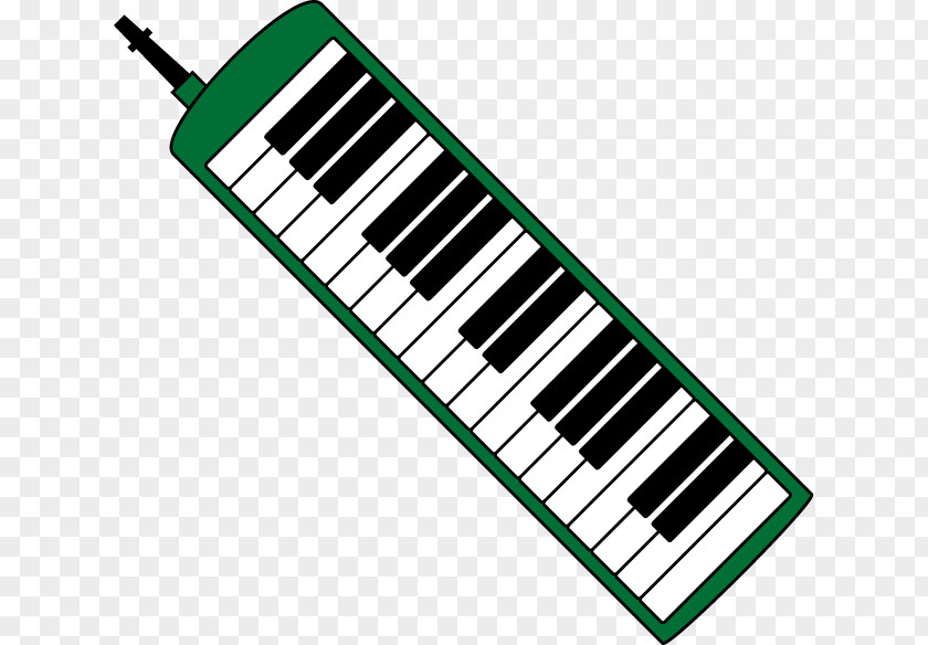 Musical Instruments Electric Piano Nord Electro Digital Melodica Electronic Keyboard PNG