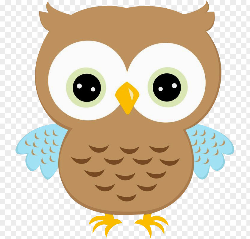 Owl Clipart Drawing Clip Art PNG