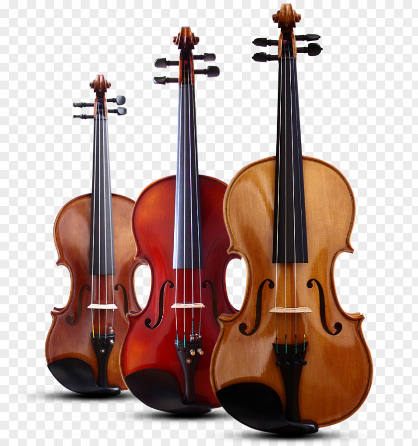 Violin Stradivarius String Instruments Cello PNG