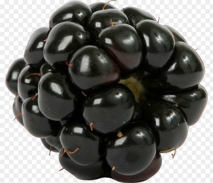 Blackberry Fruit Salad Raspberry PNG