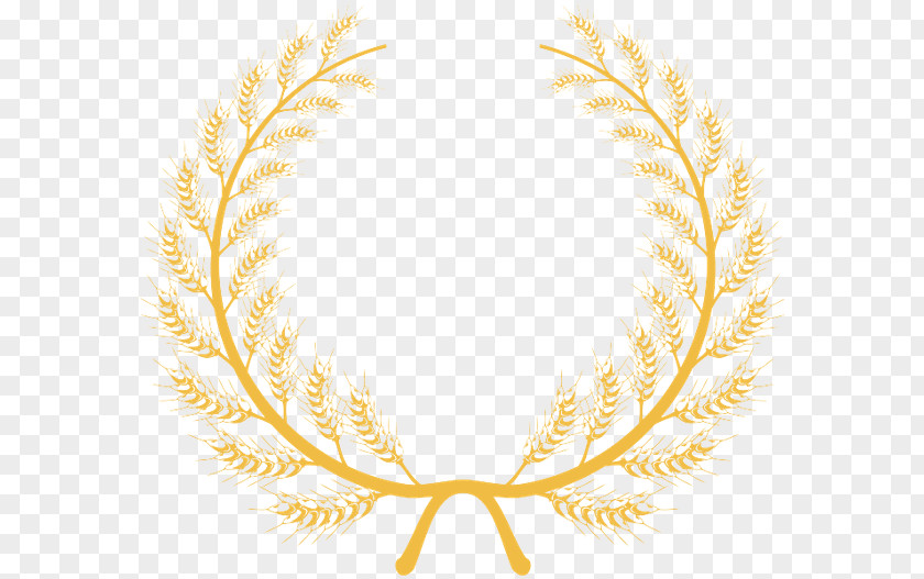 Paralegal Law Society Of Ontario Upper Canada Laurel Wreath Legal Aid PNG