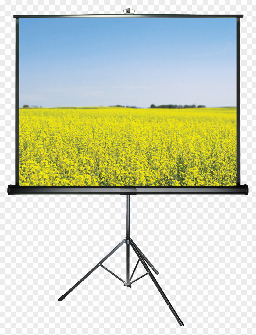 Projector Projection Screens Multimedia Projectors Wala Computer Monitors PNG