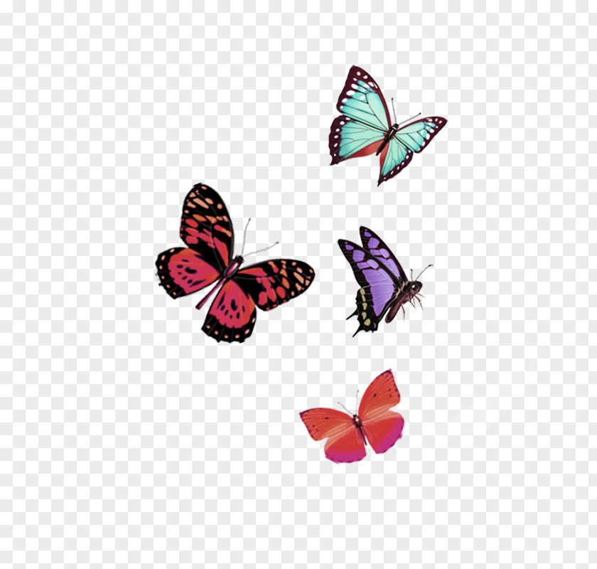 Red Dream Butterfly Floating Material Download Computer File PNG