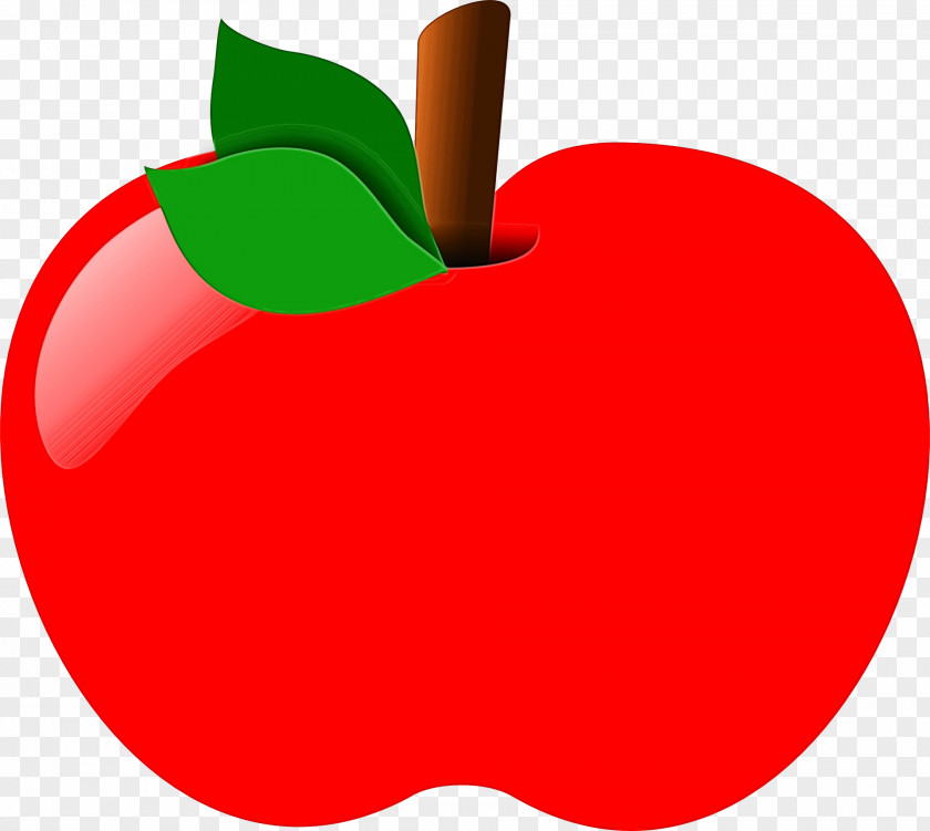 Rose Order Malus Apple Logo Background PNG