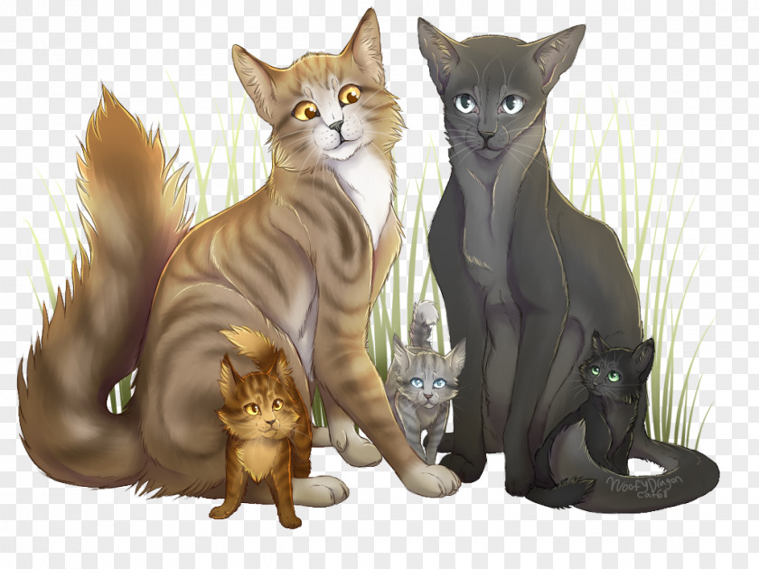 Cat Warriors Leafpool Crowfeather Jayfeather PNG