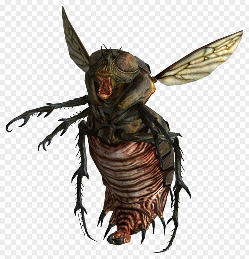 Cockroach Old World Blues Fallout 3 4 The Vault Nexus Mods PNG