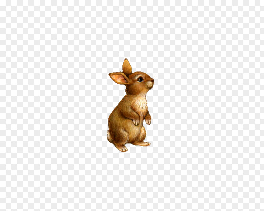 Cute Little Stuffed Bunny Domestic Rabbit Clip Art PNG