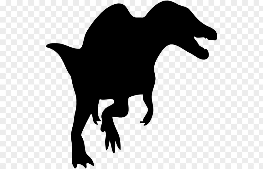 Dinosaur Spinosaurus Tyrannosaurus Rex T-shirt PNG