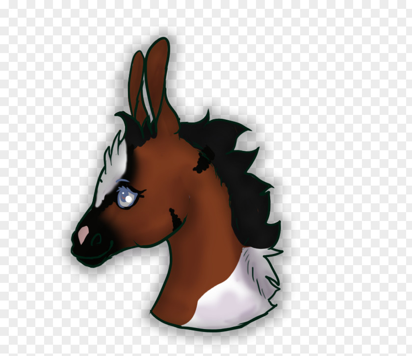 Donkey Mule Halter Mustang Bridle PNG
