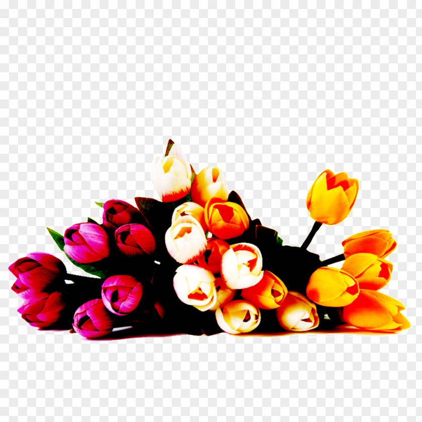 Flowers Solid Image Wish Morning Happiness PNG