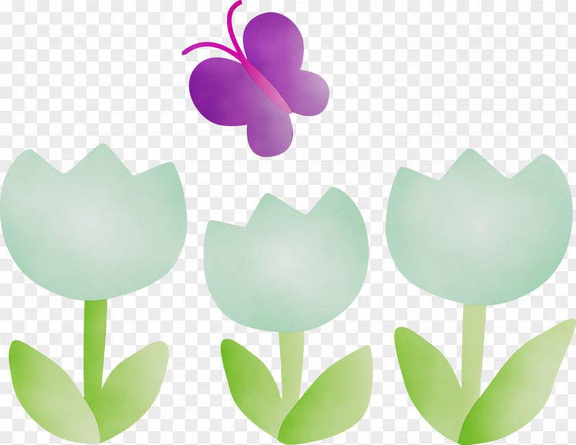 Leaf Tulip Petal Plant Flower PNG