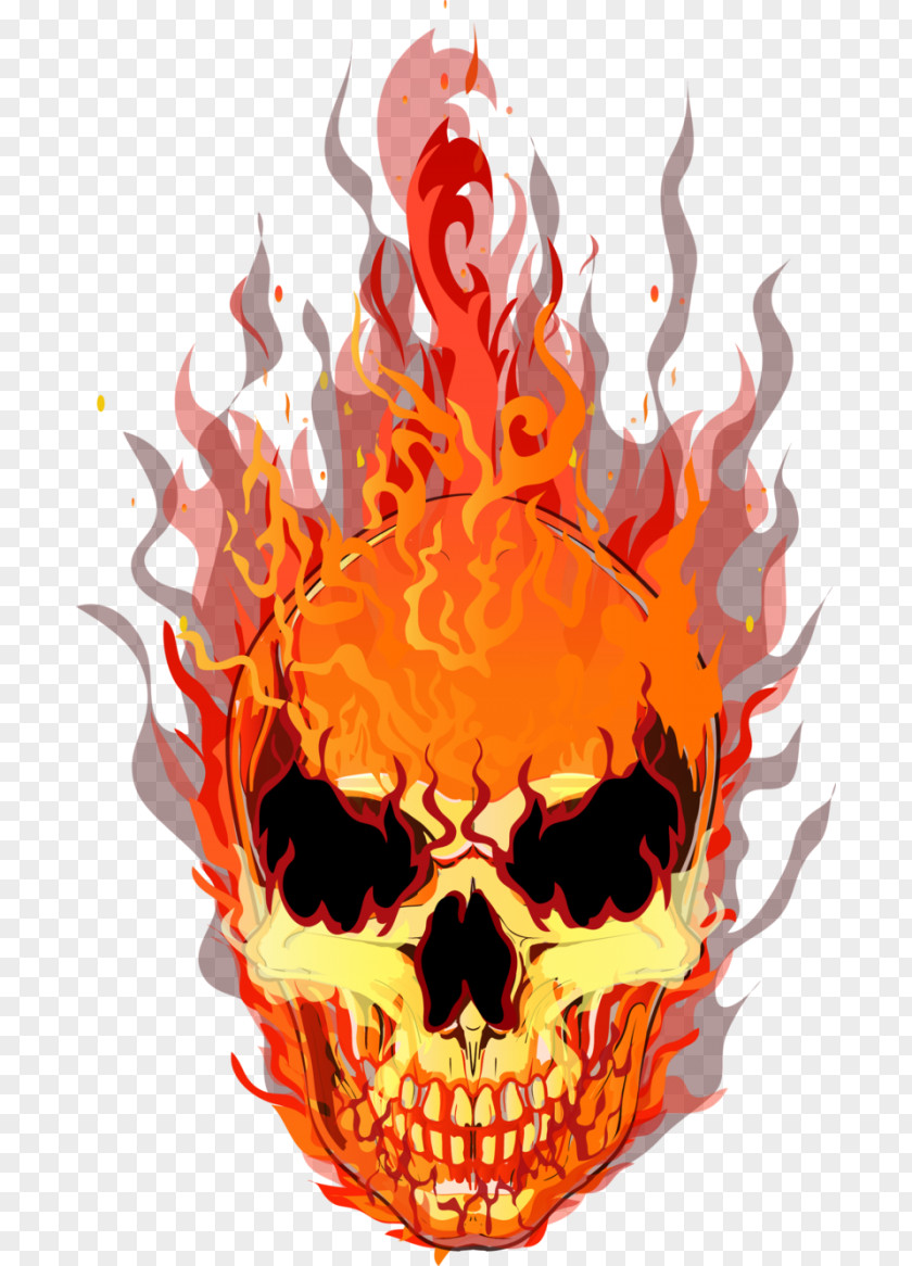 Orange Bone Skull Cartoon PNG