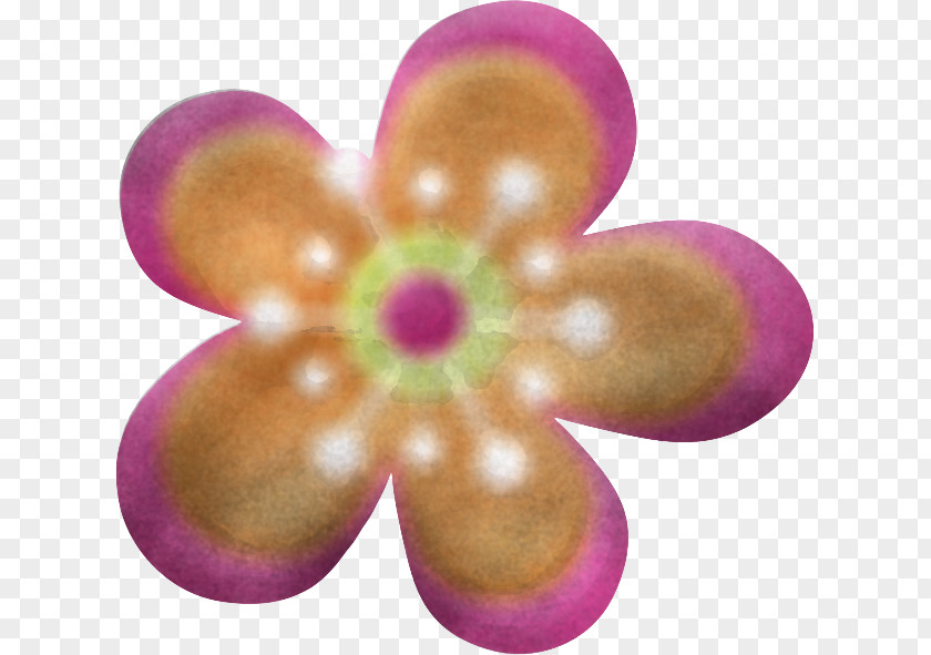 Pink Petal Purple Magenta Violet PNG