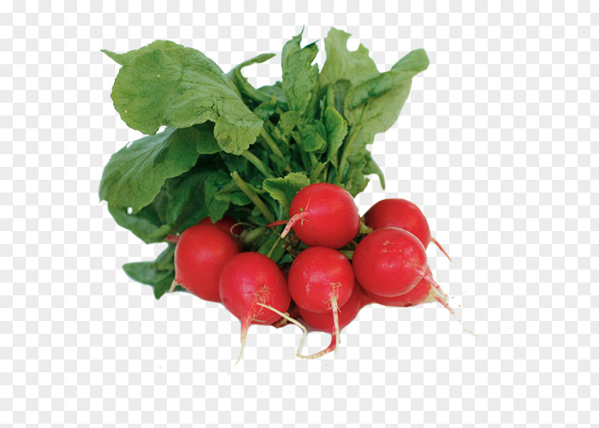 Vegetable Organic Food Leaf Salad PNG
