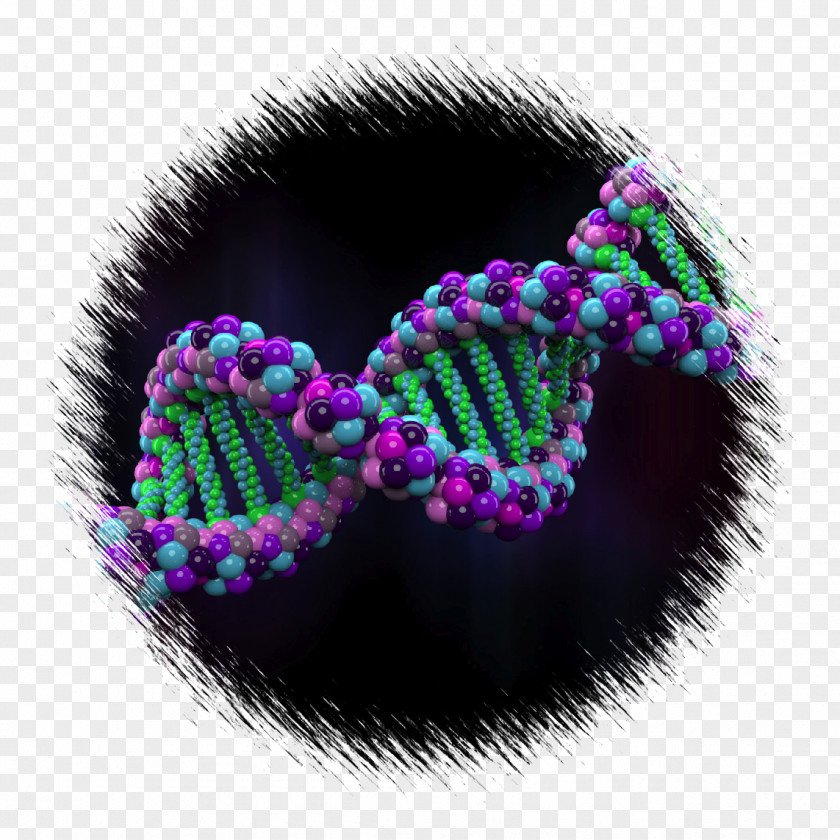 Genomics Cliparts Human Genome Project Genetics PNG