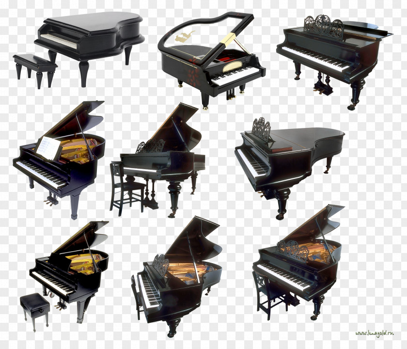 Musical Instruments Piano Keyboard PNG