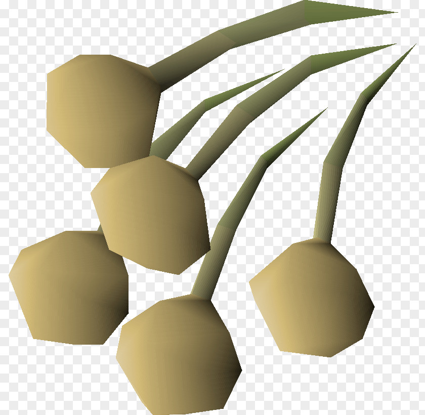 Onion Old School RuneScape Seed PNG