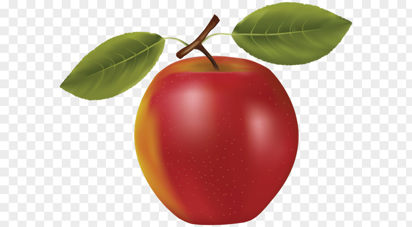 Apple Barbados Cherry Apricot Fruit PNG
