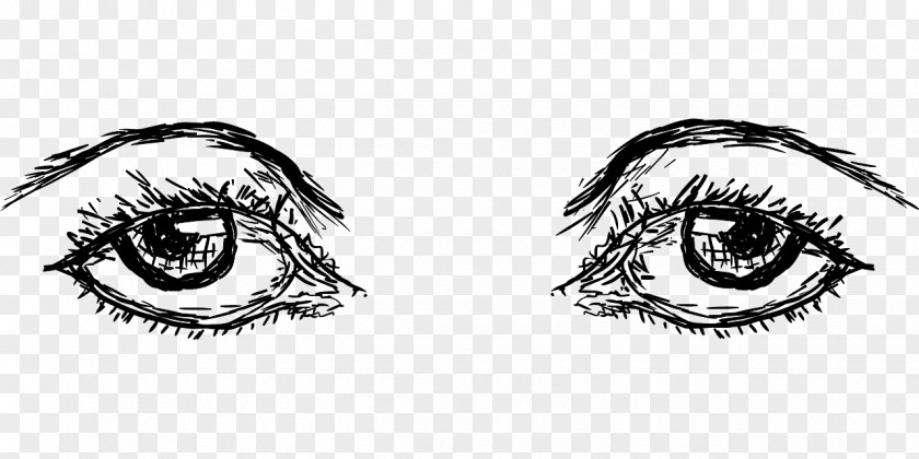 Eye Eyebrow Human Drawing PNG