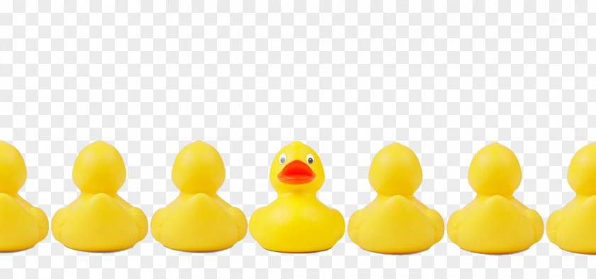 Little Yellow Duck Change Management Genetic Testing Business Process PNG