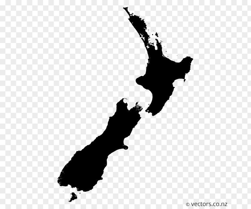 Editable Background New Zealand Vector Map PNG