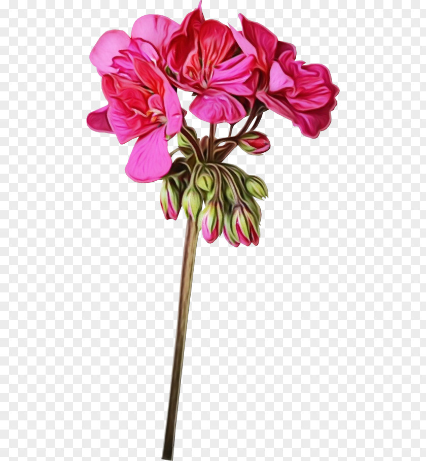 Herbaceous Plant Magenta Artificial Flower PNG