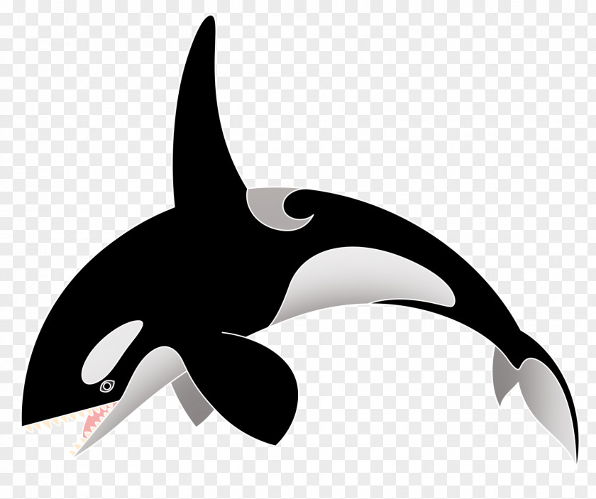 Killer Whale Cluburlaub Clubkino Siegmar Aldiana Octopus PNG