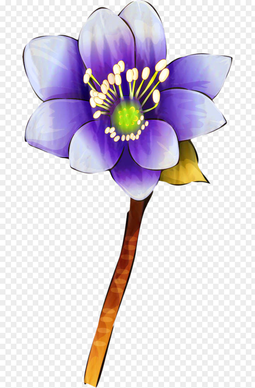 Viola Violet Family Flowers Background PNG