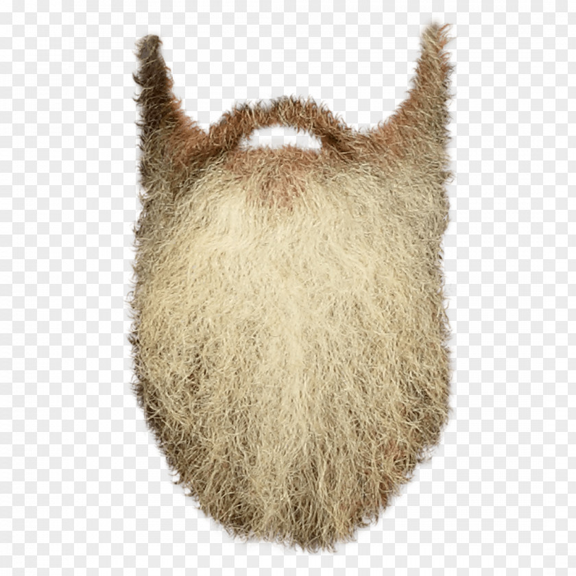 White Beard Clip Art PNG