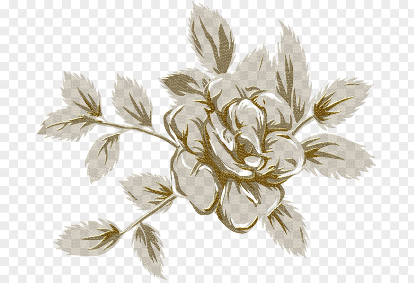 Flower Clip Art PNG