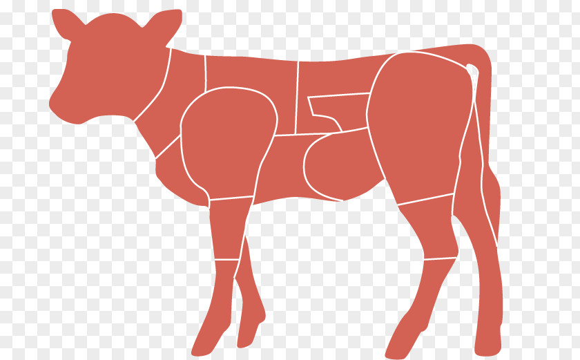 Meat Calf Taurine Cattle Cut Of Beef PNG