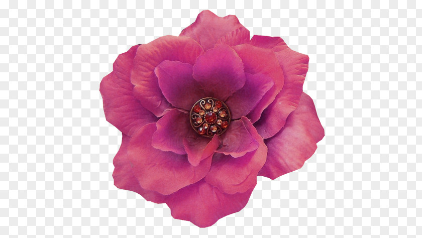Peony Centifolia Roses Cut Flowers Petal Pink M PNG