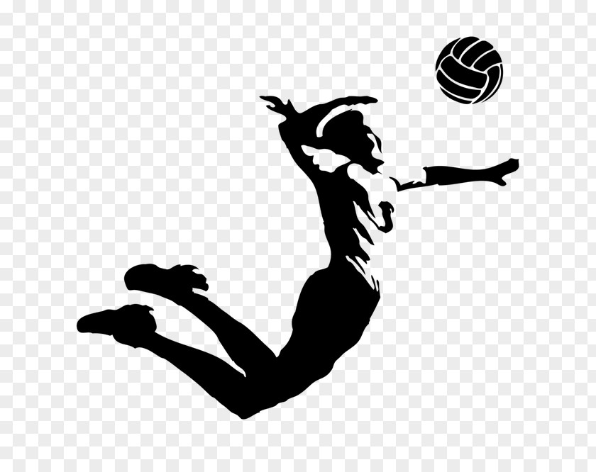 Volleyball VC Zenit-Kazan Sport Belogorie PNG