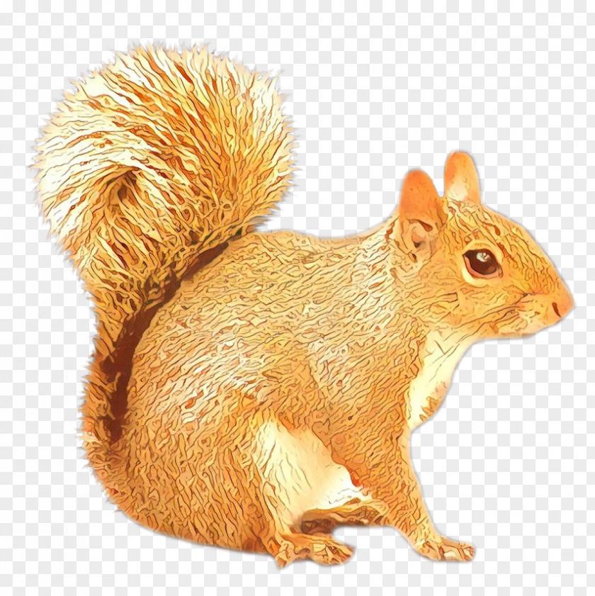 American Red Squirrel Chipmunk Rodent PNG