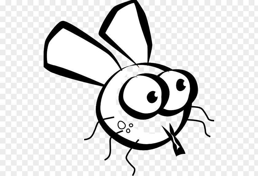 Cartoon Pictures Of Flies Insect Drawing Fly Black And White Clip Art PNG