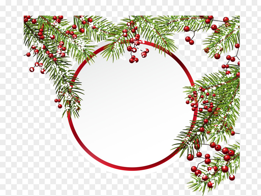 Christmas Day Ornament In Pink Fir Vector Graphics PNG